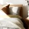 swath of sunlight shines across a well made bed and bedside table with a vase of cotton plants